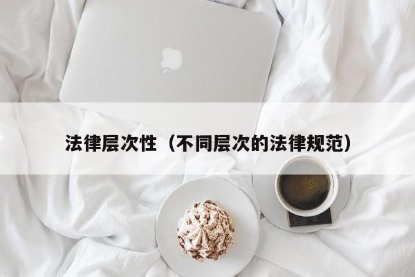 法律层次性(不同层次的法律规范)