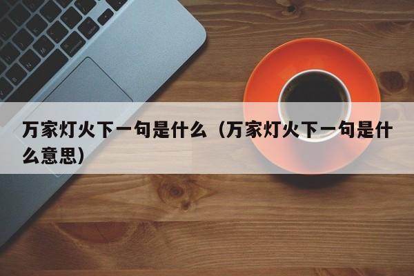 万家灯火下一句是什么（万家灯火下一句是什么意思）