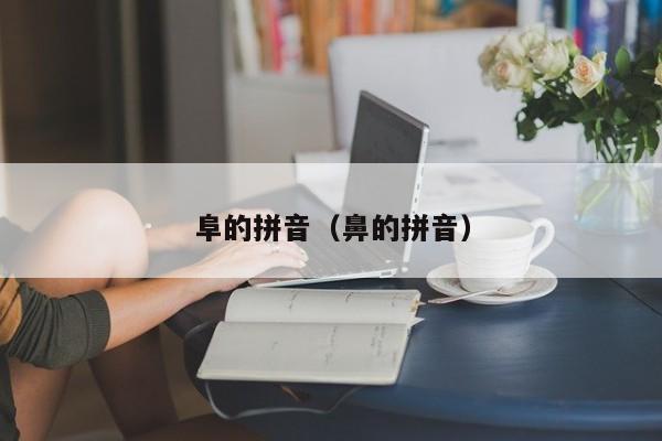 阜的拼音（鼻的拼音）