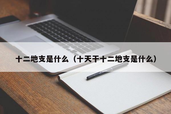 十二地支是什么（十天干十二地支是什么）