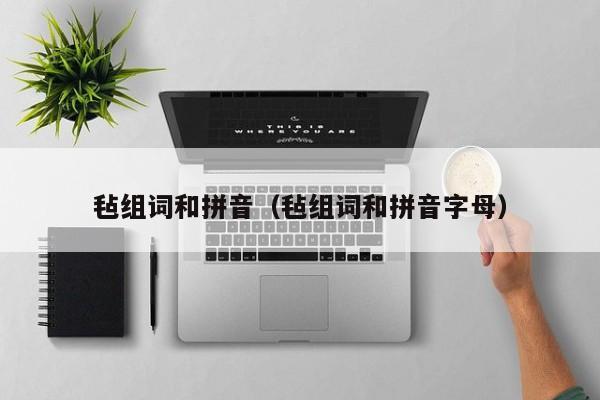 毡组词和拼音（毡组词和拼音字母）