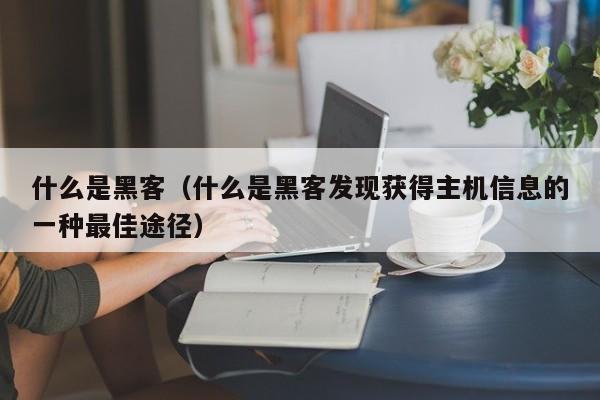 什么是黑客（什么是黑客发现获得主机信息的一种最佳途径）