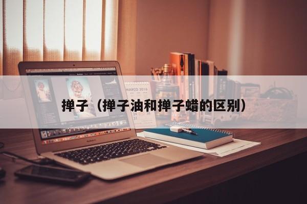 掸子（掸子油和掸子蜡的区别）