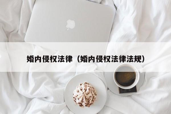 婚内侵权法律(婚内侵权法律法规)