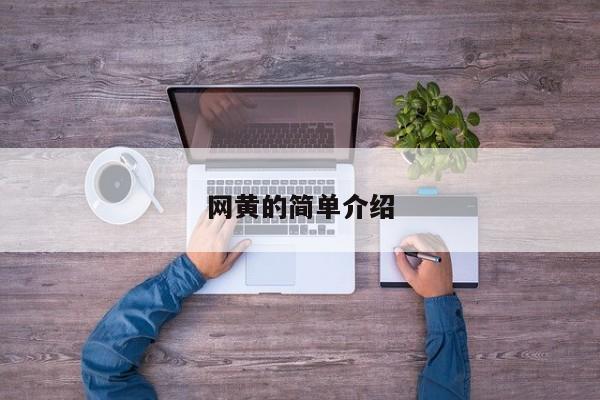 网黄的简单介绍